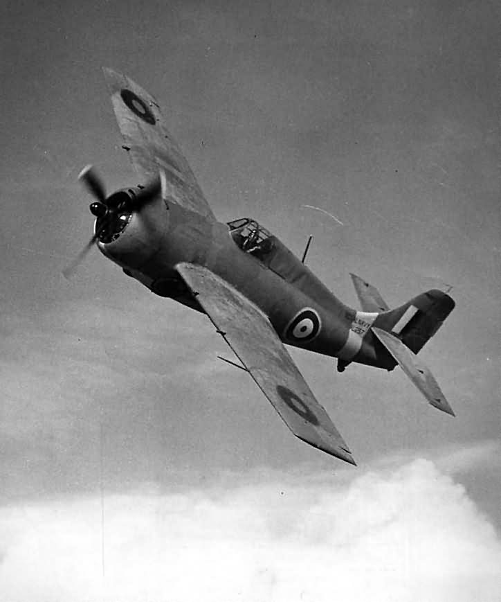 British Grumman Martlet Mk I AL257 of No. 804 Squadron