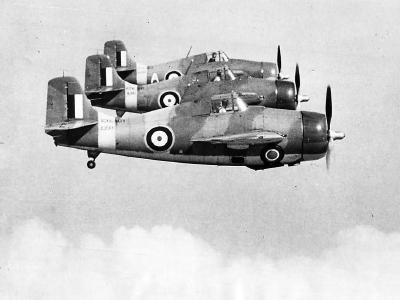 Formation of Grumman F4F Martlets of No. 804 squadron Fleet Air Arm 1940 – Scapa Flow