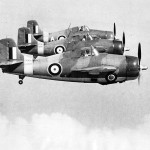 Formation of Grumman F4F Martlets of No. 804 squadron Fleet Air Arm 1940 – Scapa Flow