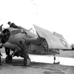 Martlet Mk III FAA North Africa 5 January 1943