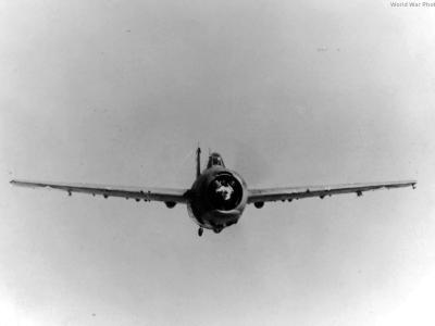 Grumman Wildcat of VF-41