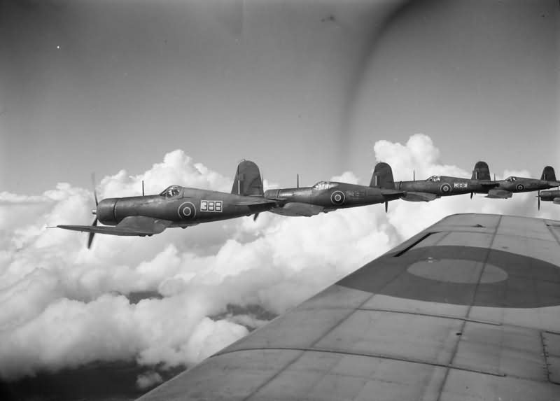 Vought F4U Corsairs of FAA in formation
