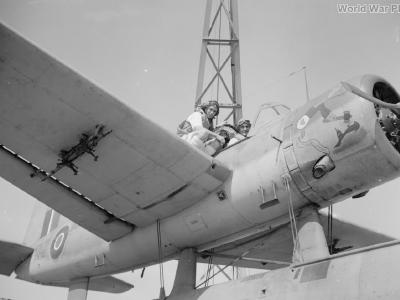 Kingfisher FN712