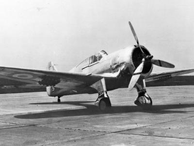 Curtiss 75P Hawk for Argentina