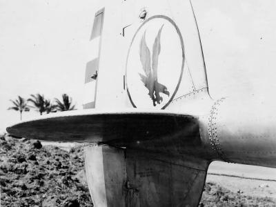 Lockheed P-38 Tail Insignia 8th Photo