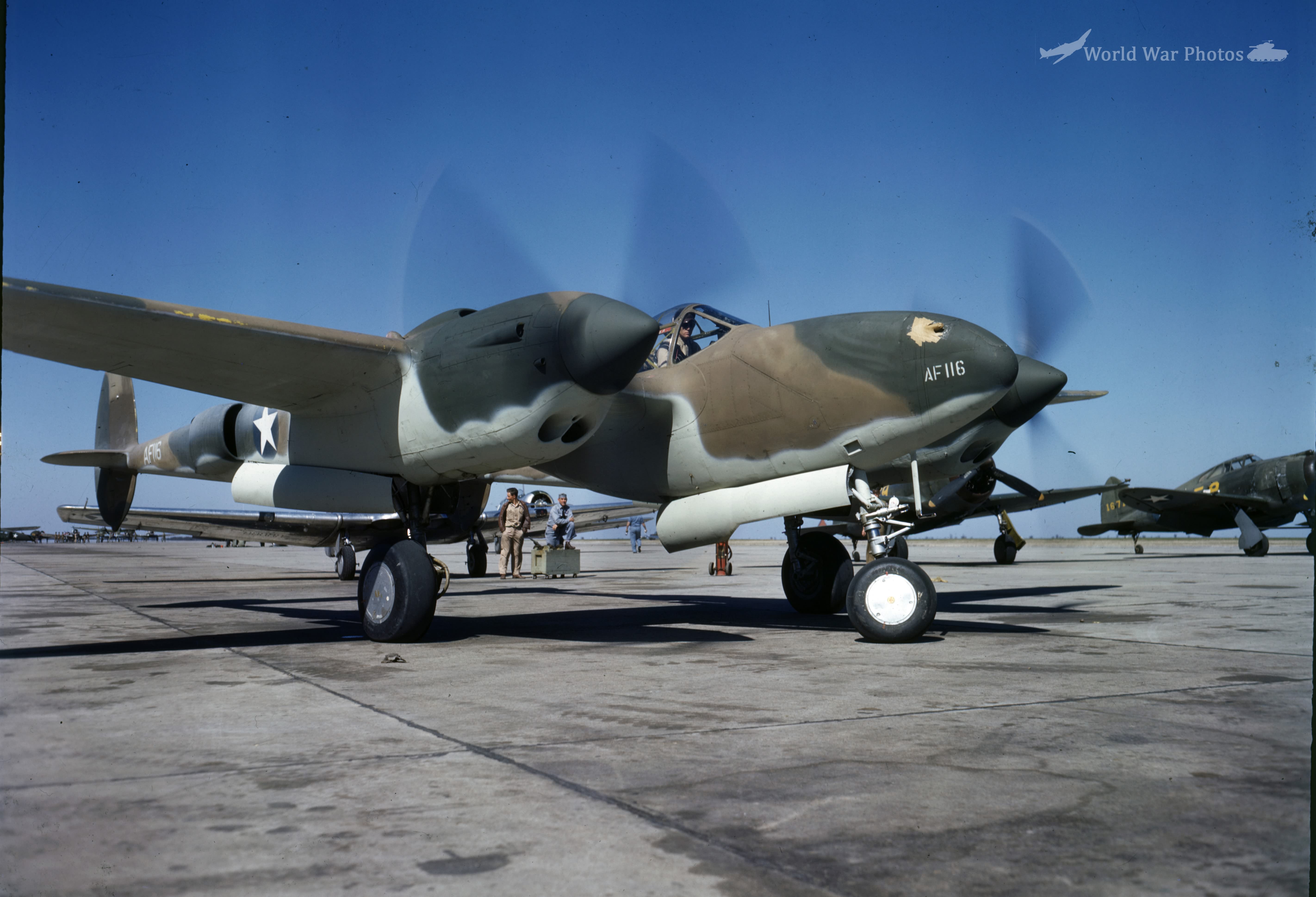 P-38 P-322 AF116