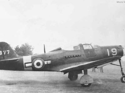 P-39N of 4th Stormo Italian Co-Belligerent Air Force