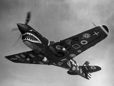 28 Air Forces Insignia Mark on P-40N 15 000th Curtiss P-40 1944