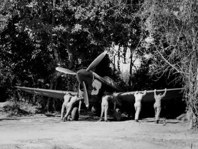 Curtiss P-40 of the 80th Fighter Group in the CBI