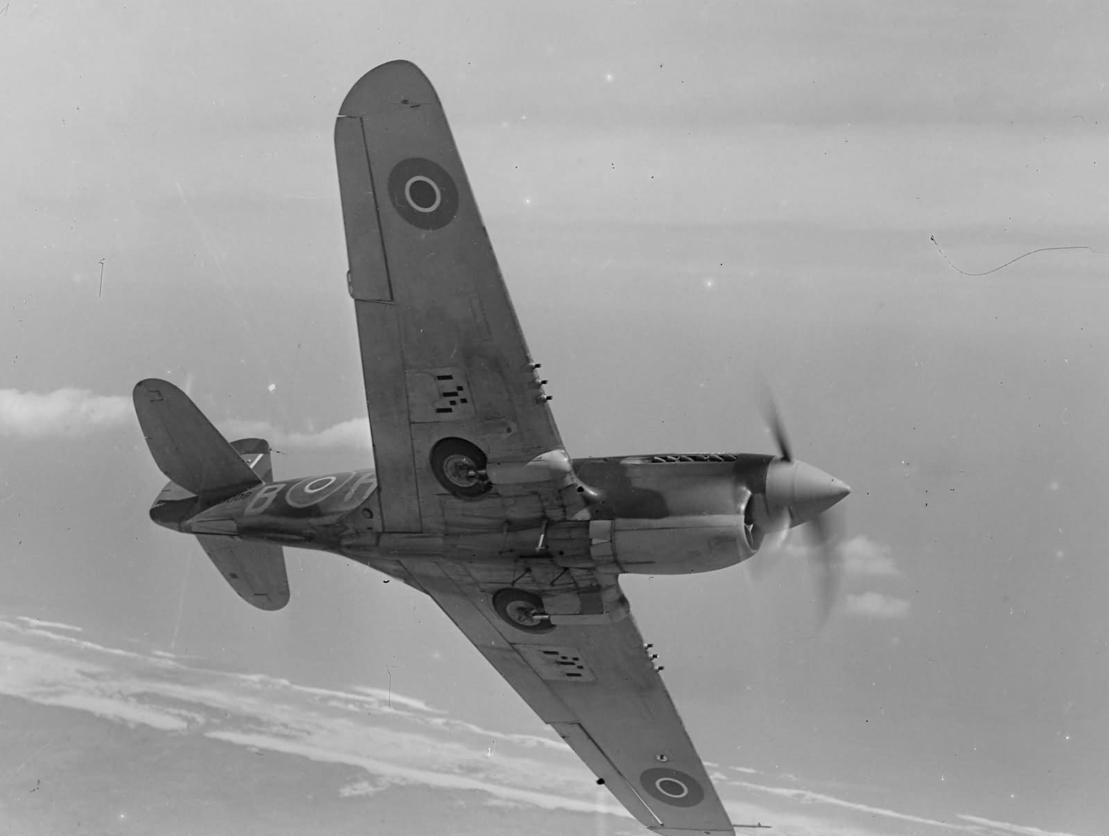 Curtiss P-40 Kittyhawk of the 14 Sqn RNZAF in flight during World War II