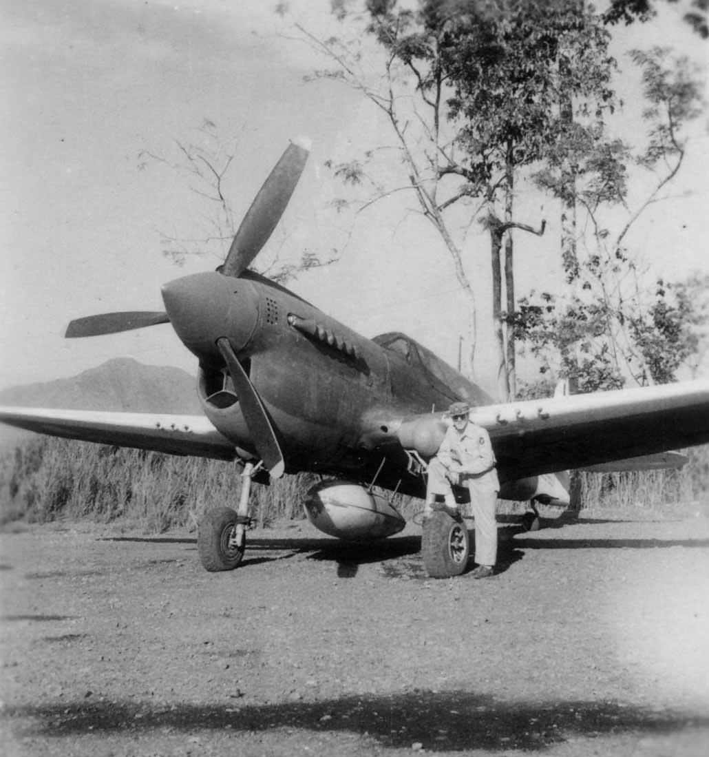 Curtiss P-40 New Guinea