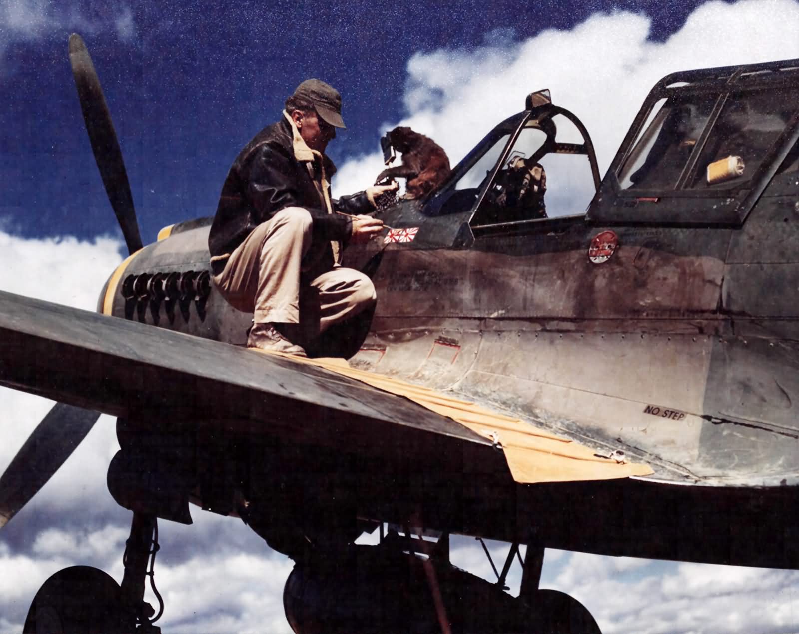 Curtiss P-40 Of The 26th Fighter Squadron 51st Fighter Group