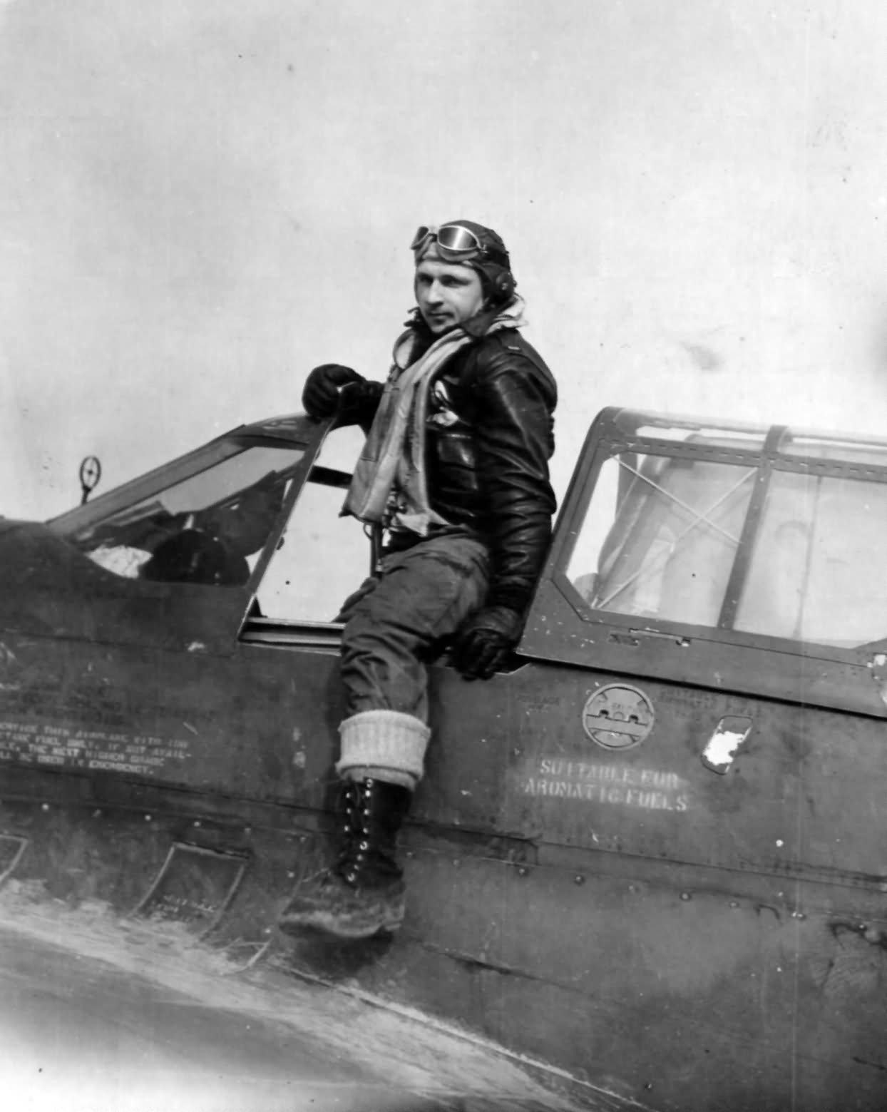 Curtiss P-40 Warhawk 11th FS 343rd FG 11th AF Aleutian Tigers