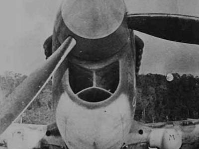 Curtiss P-40 front view