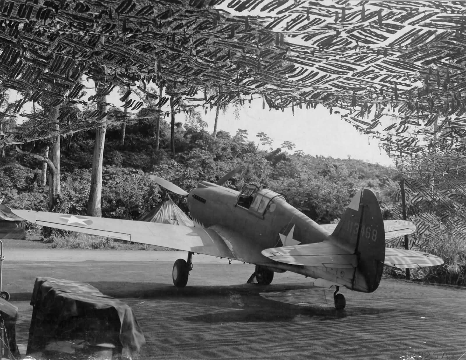 P-40C 6th Air Force in camouflaged revetment December 1942