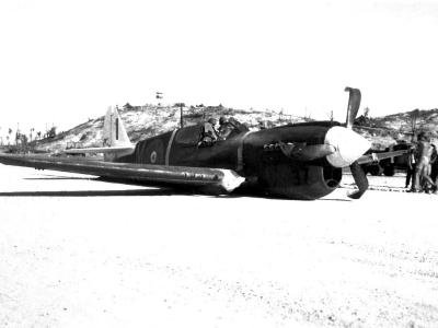 P-40M Warhawk Royal New Zealand Air Force belly landing on Munda airfield