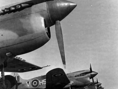 P-40 260 Squadron RAF in Libya North Africa