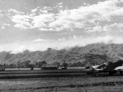 P 40 49th Fighter Group New Guinea January 1944