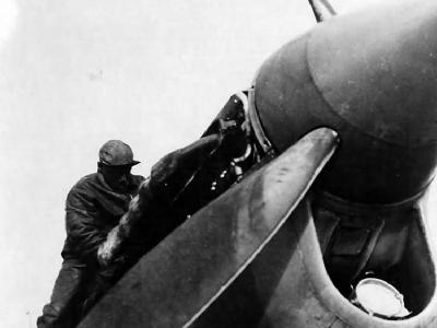 Curtiss P-40 of the 99th Fighter Squadron 332nd Fighter Group Italy