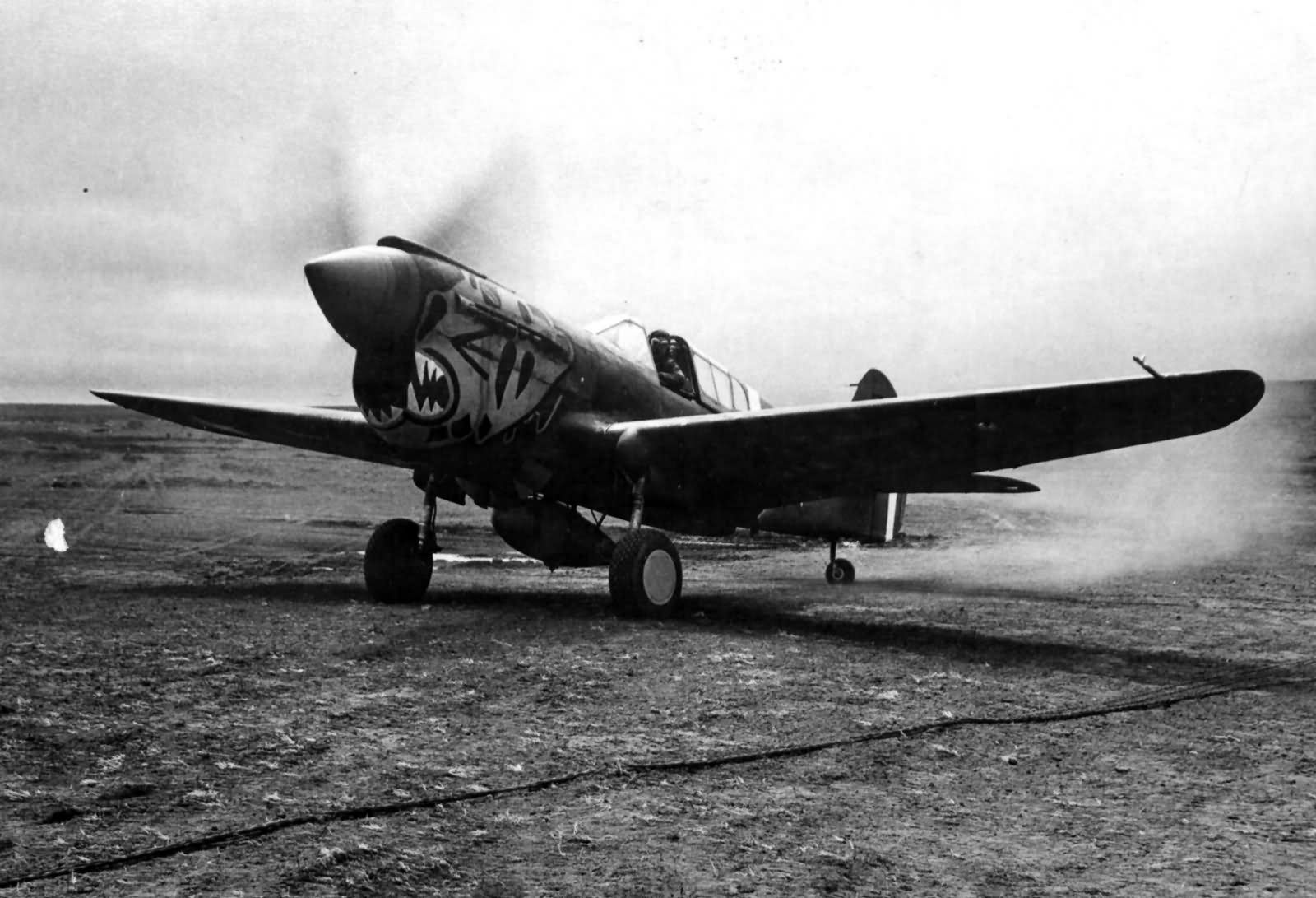 P-40 Warhawk 11th FS 343rd FG 11th AF Aleutian Tigers 1942 nose art