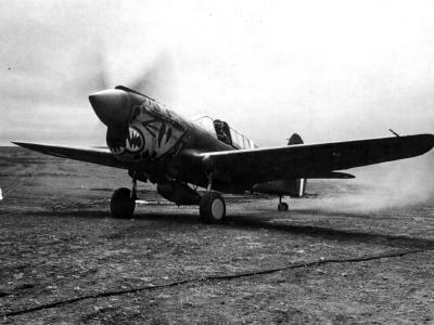 P-40 Warhawk 11th FS 343rd FG 11th AF Aleutian Tigers 1942 nose art