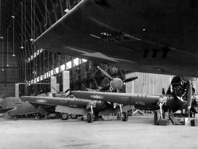 P-40 in Chinese markings