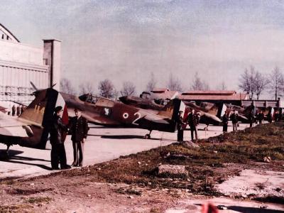 Presentation Of French Curtiss P-40 of the GC II/5, Algiers North Africa