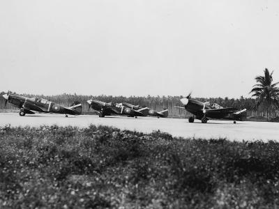 RNZAF Curtiss P-40M Kittyhawk of the 14 Sqn