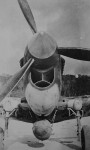 Curtiss P-40 front view