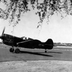 Curtiss P-40K Warhawk „Shellie IV” #205 42-46104 of the 78th Fighter Squadron 15th FG
