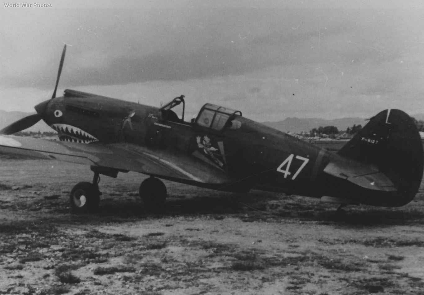 Curtiss Hawk 81A-2 AVG P-8127