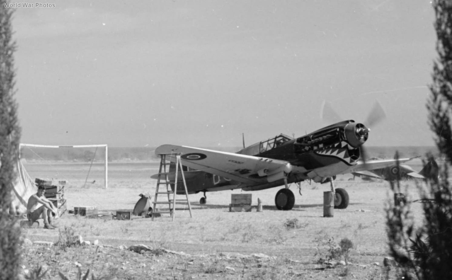 Kittyhawk Mk III of No. 112 Squadron RAF Bari 1943