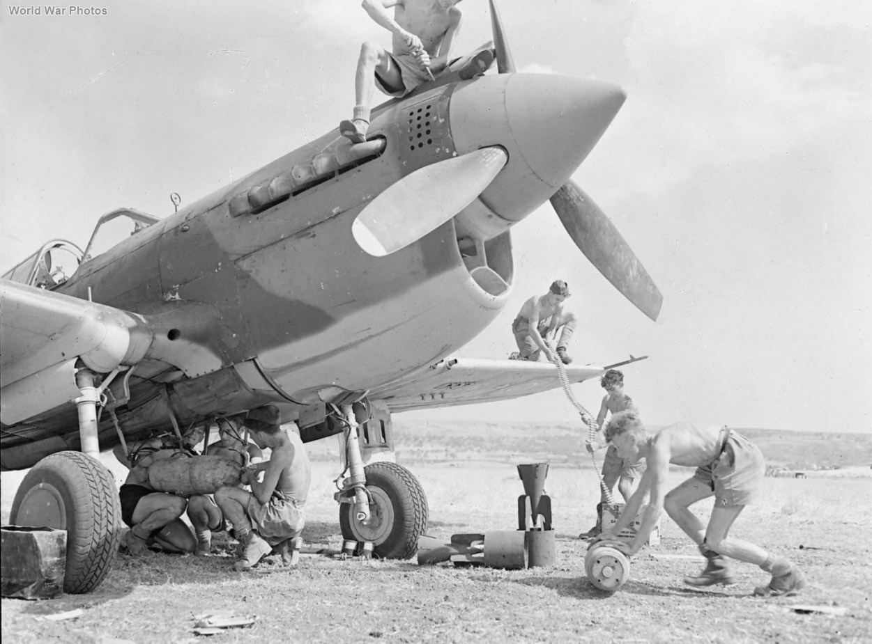 Curtiss Kittyhawk Mk III of 239 Wing Sicily 1943