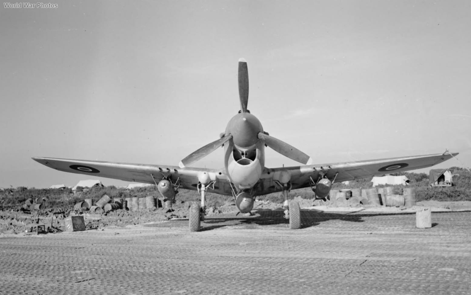 Kittyhawk IV of No. 450 Squadron RAAF Cutella