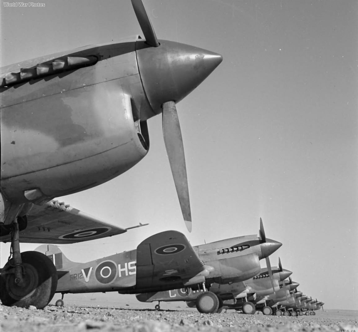 Kittyhawks III of No. 260 Squadron RAF December 1942