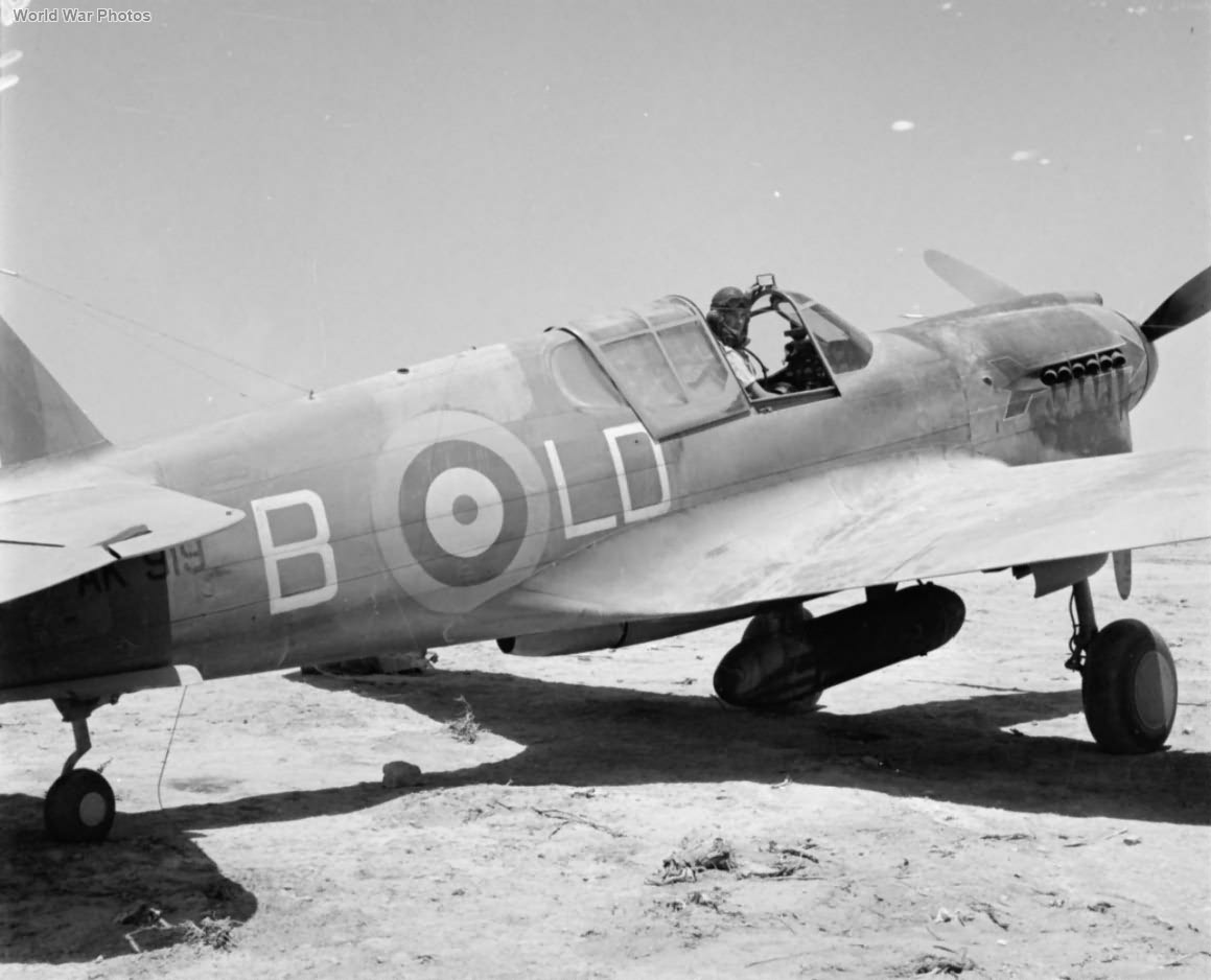 Kittyhawk Mk I AK919 LD-B