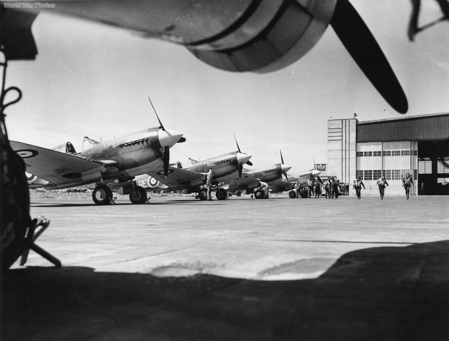 P-40s of 118 Squadron RCAF 2