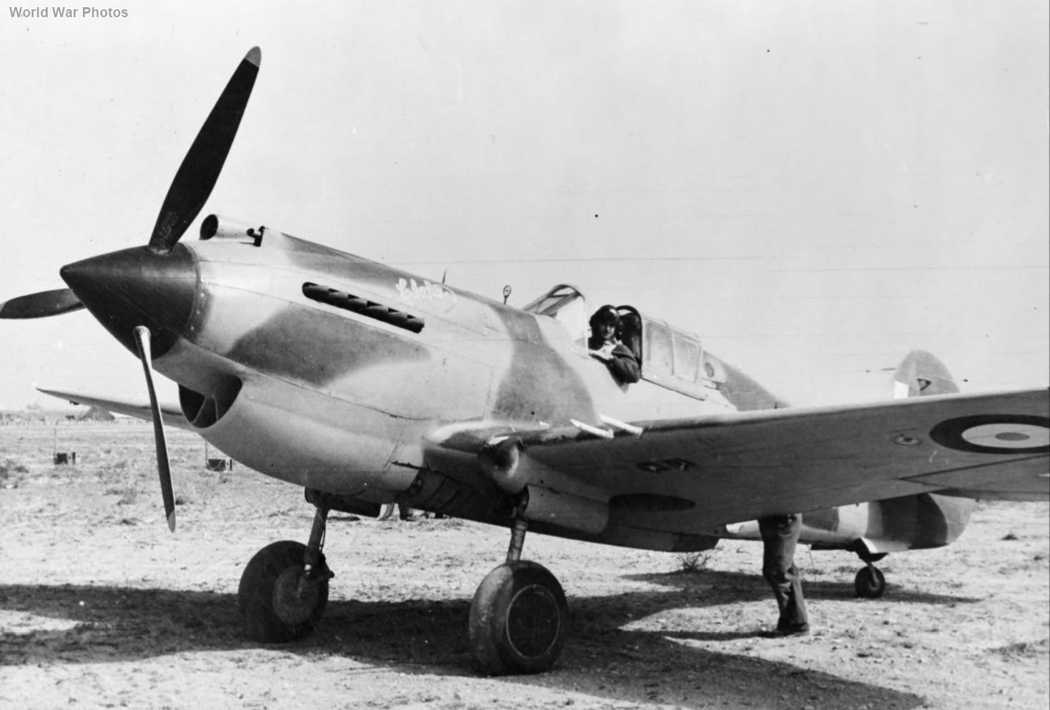 Tomahawk IIB „Chaka” of No. 5 Squadron SAAF