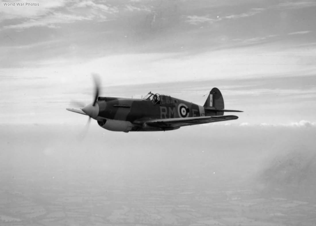 Tomahawk Mk I AH791 RM-E of No. 26 Squadron RAF in flight