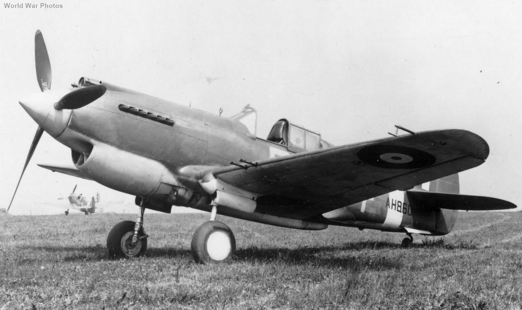 Tomahawk Mk IA AH860