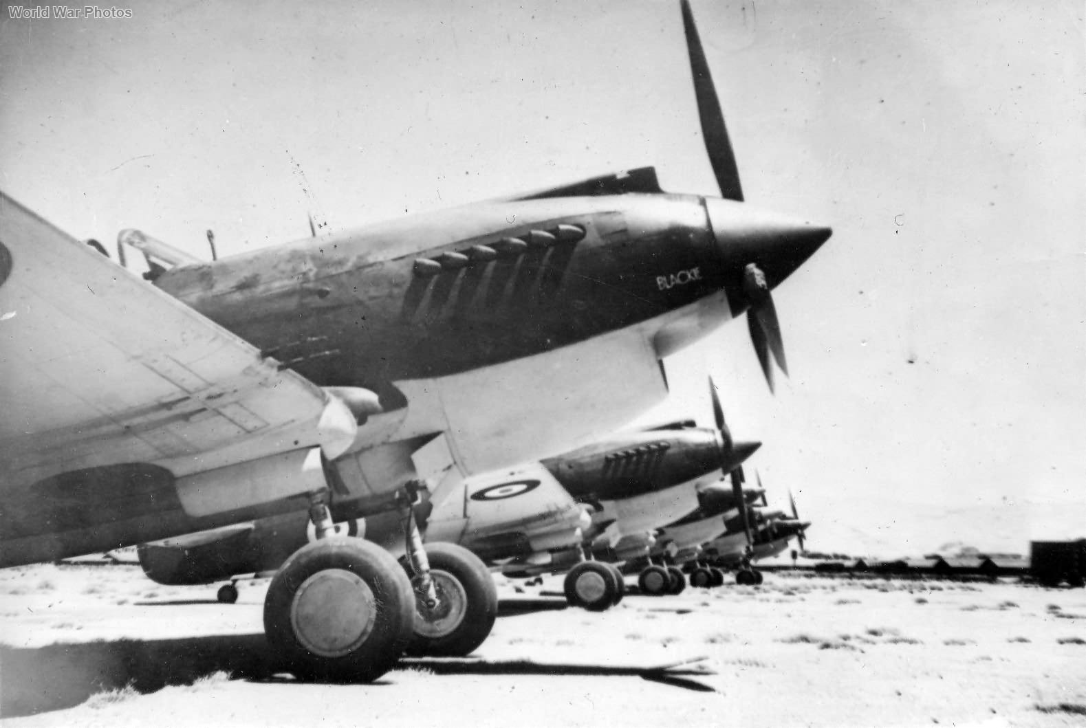 Tomahawks IIB of No. 3 Squadron RAAF Rayak Lebanon 2