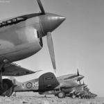 Kittyhawks III of No. 260 Squadron RAF December 1942