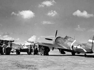 P-47D Thunderbolt #412 42-75460 „Princess Pat” of the 73rd FS, 318th FG flown by Capt Babcock