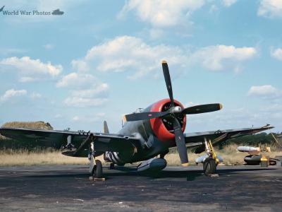 P-47 Hairless Joe 62nd FS 56th FG