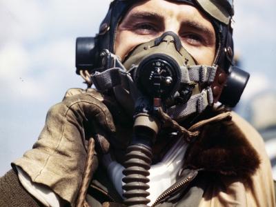 P-47 Lieutenant Colonel Francis Stanley Gabby Gabreski