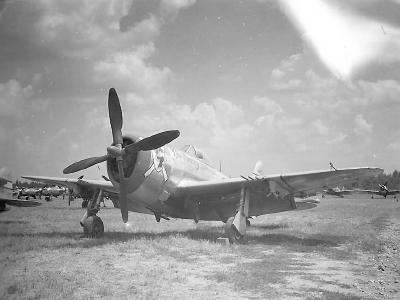 P-47D „The Merry Heron II” of the 57th Fighter Group, 66th FS