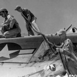 Armorers removing ammo from wing guns of a P-47 Thunderbolt of the 318th FG