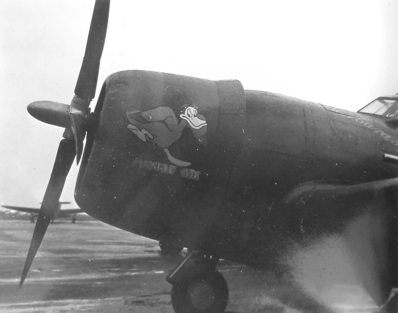P-47 nose art Maximun Goose