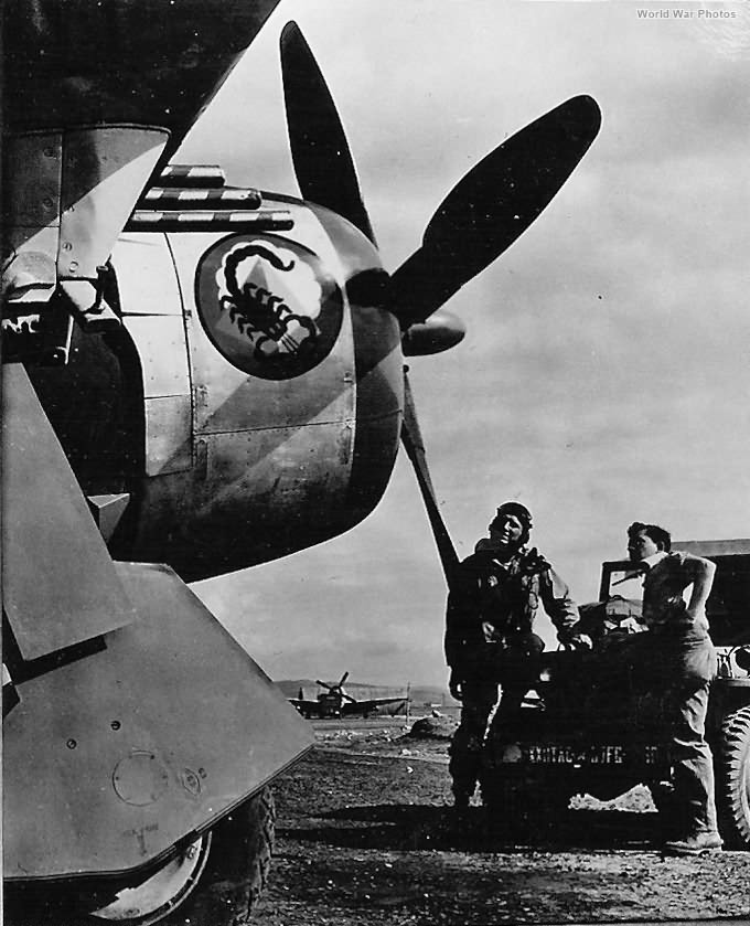 65th Fighter Squadron P-47