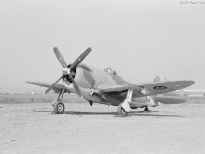 Thunderbolt KJ346